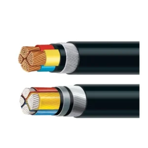 Polycab 10 Sqmm, 2 core A2Xfy Aluminium Xlpe Insulated Armoured Cable 1.1 Kv